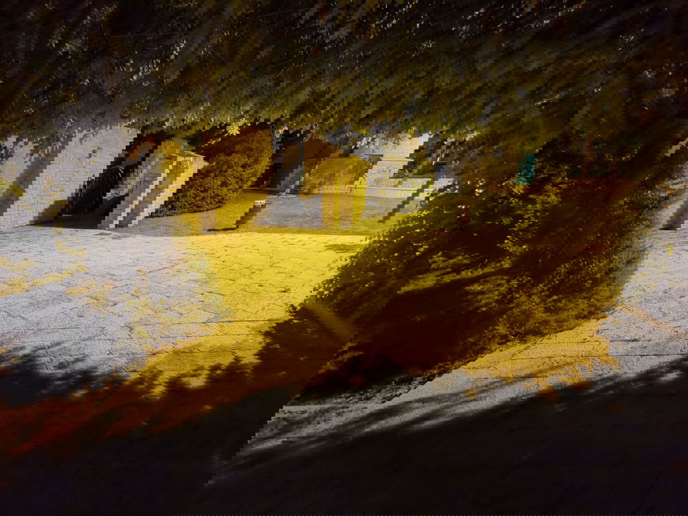 טיול ב'גן הפעמון' באמצע הלילה • גלריה