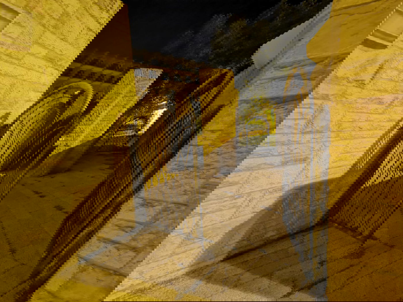 טיול ב'גן הפעמון' באמצע הלילה • גלריה