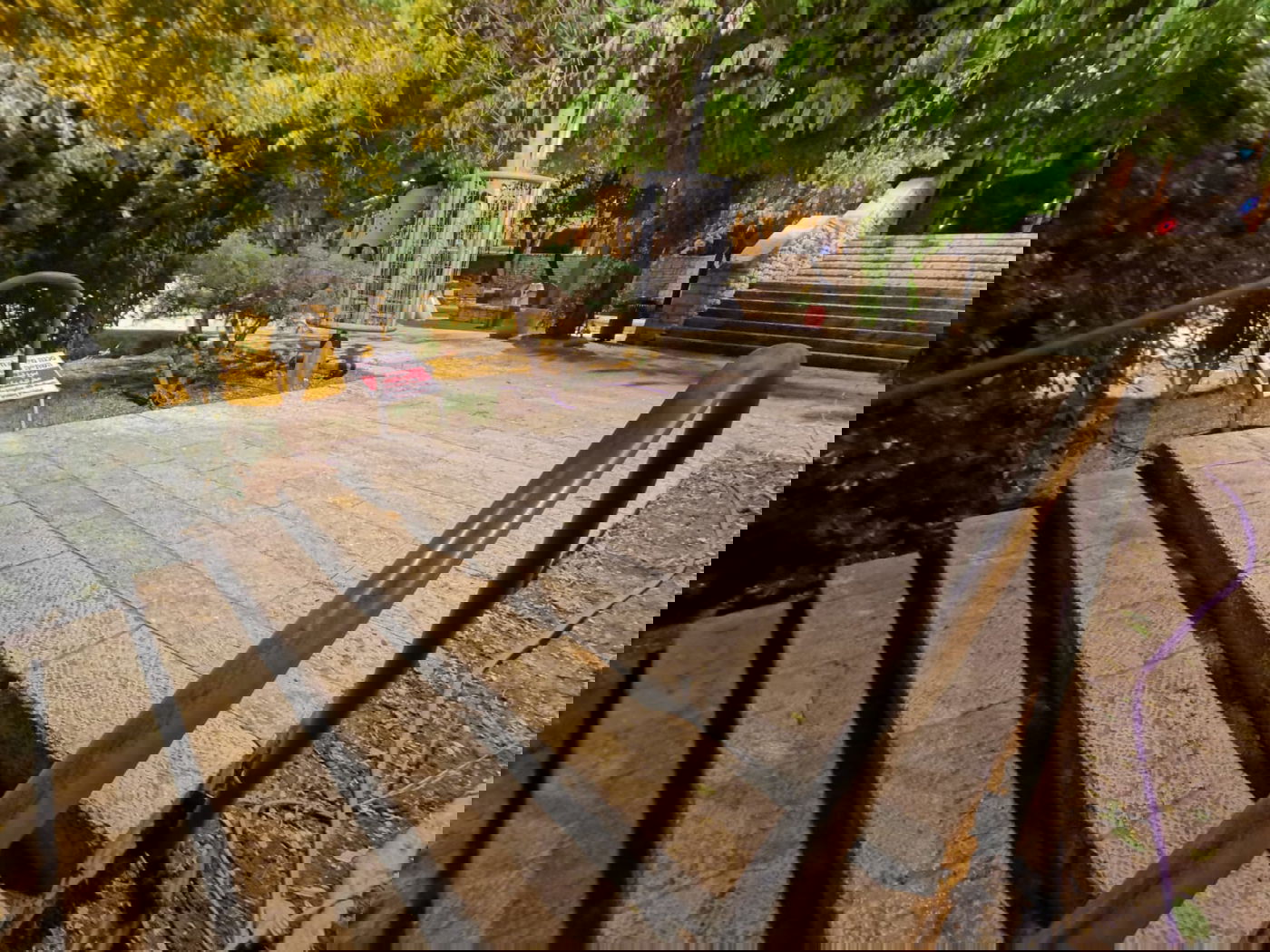 טיול ב'גן הפעמון' באמצע הלילה • גלריה