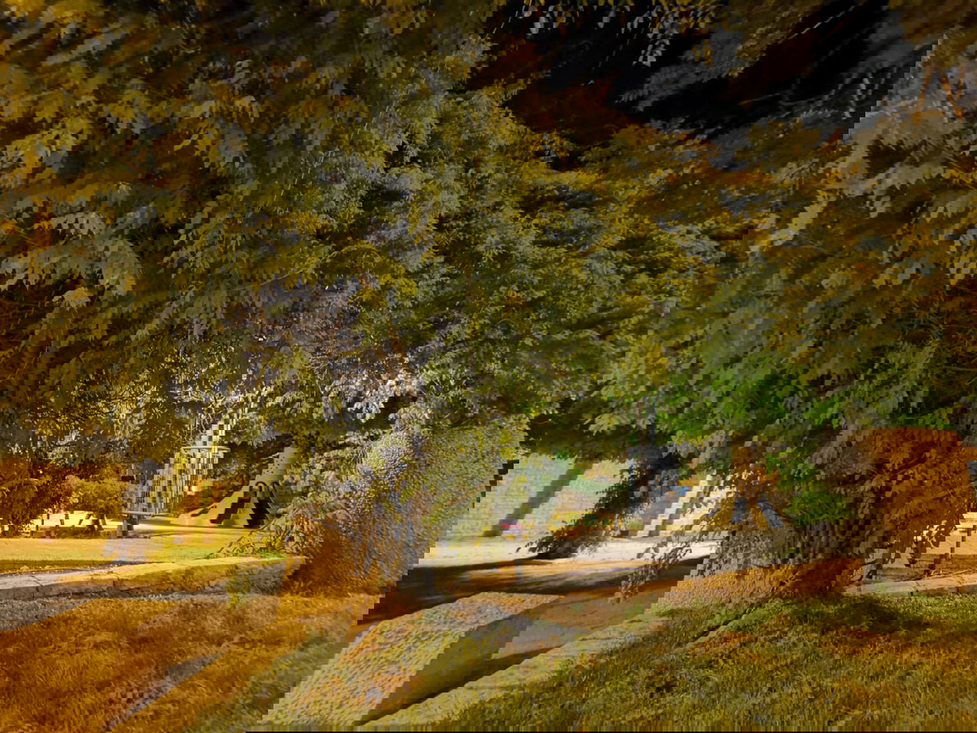 טיול ב'גן הפעמון' באמצע הלילה • גלריה