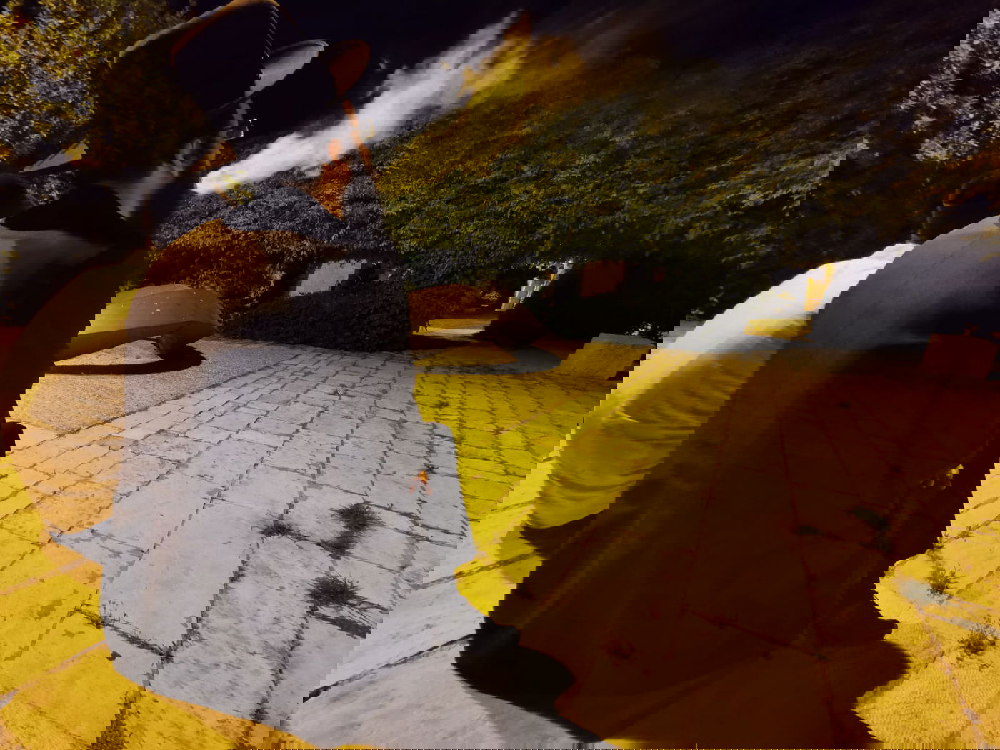 טיול ב'גן הפעמון' באמצע הלילה • גלריה