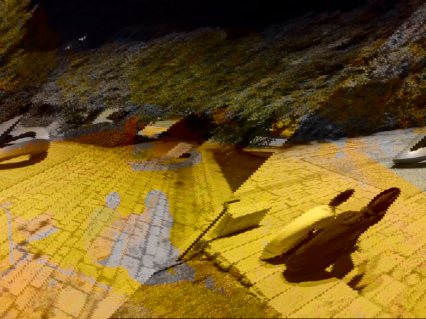 טיול ב'גן הפעמון' באמצע הלילה • גלריה