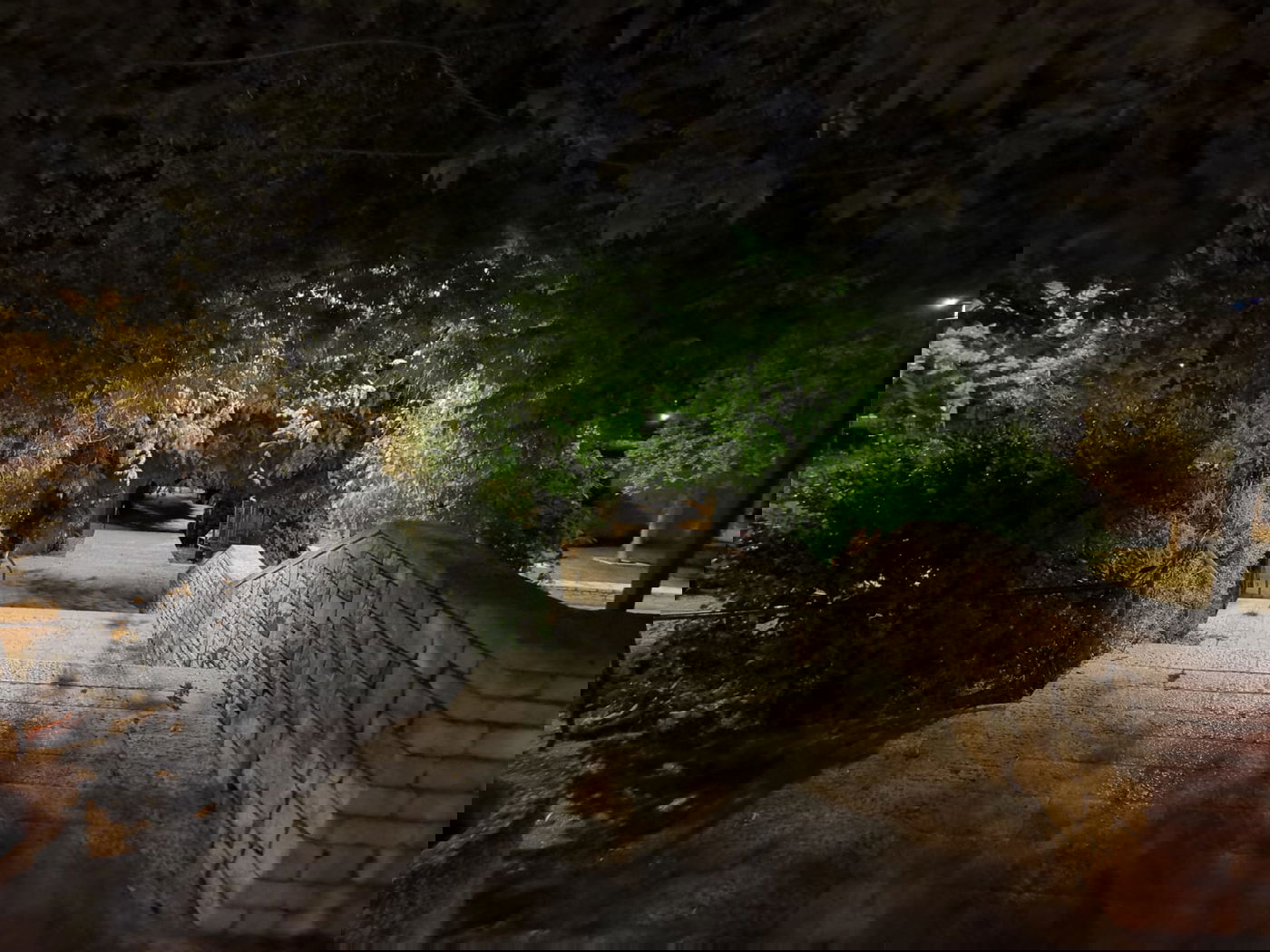 טיול ב'גן הפעמון' באמצע הלילה • גלריה