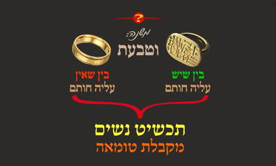 הדף היומי: מסכת שבת, דף ס' • סיכום והמחשה