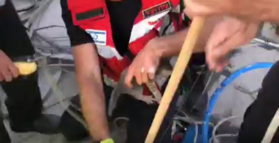 לוחמי האש התרגשו מחילוץ גור החתולים