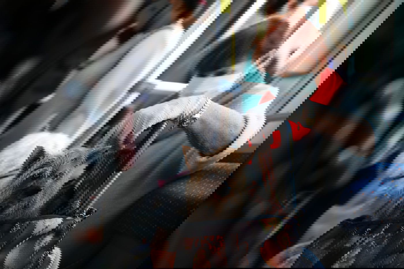 חוזרים לשגרה גם בשוק מחנה יהודה • גלריה