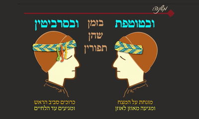 הדף היומי: מסכת שבת, דף ס"ד • סיכום והמחשה