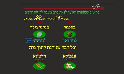 הדף היומי: מסכת שבת, דף ס"ה • סיכום והמחשה