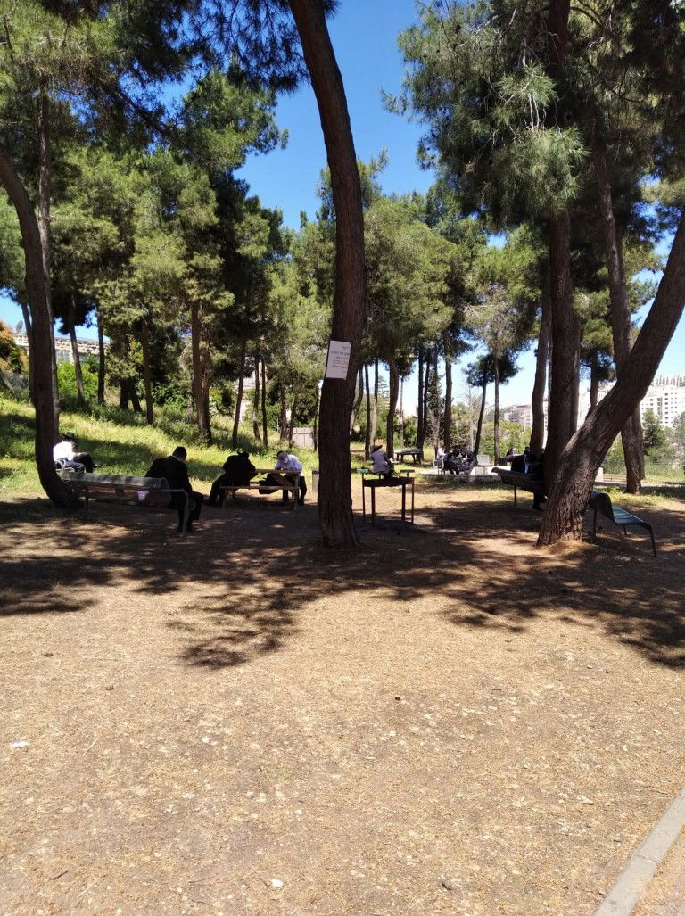 המבחנים התקיימו בגינות, בחדרי מדרגות ובתחנות אוטובוס