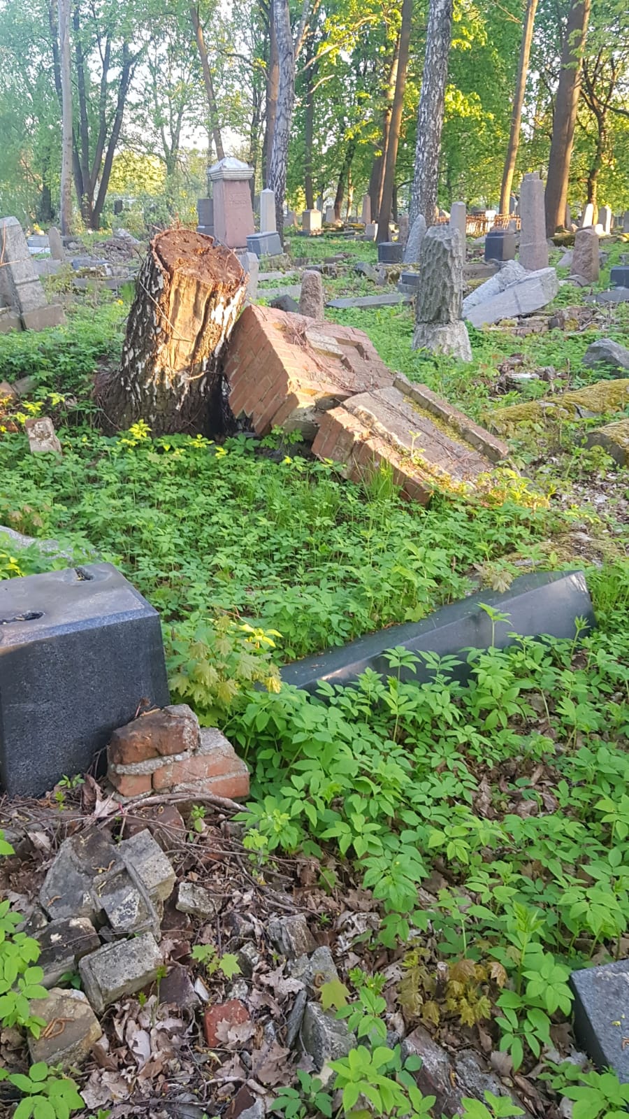 מזעזע: הרס וחורבן בבית הקברות החשוב בליטא