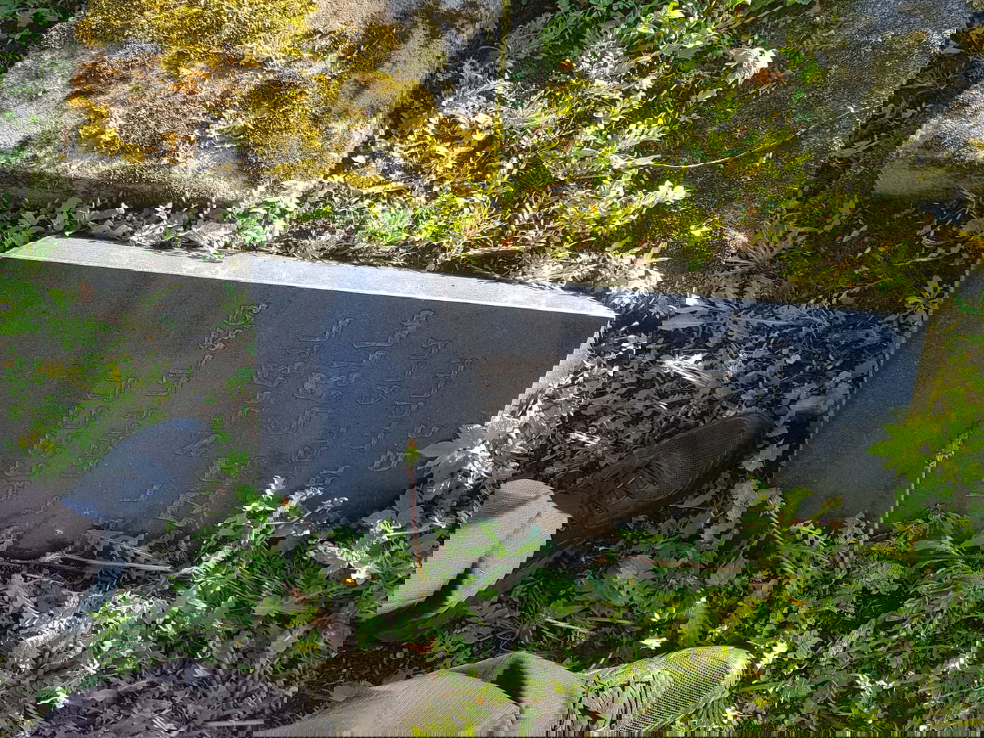 מזעזע: הרס וחורבן בבית הקברות החשוב בליטא