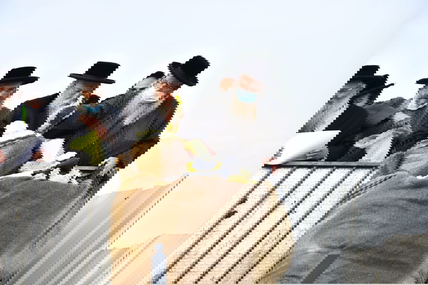 ההדלקה של האדמו"ר מבאיאן במירון • צפו