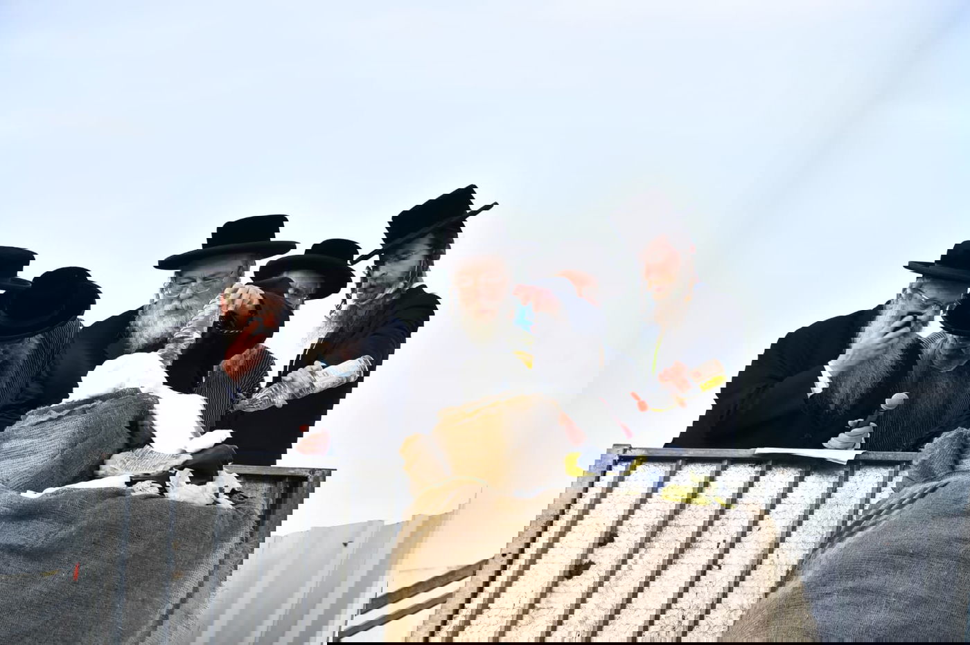 ההדלקה של האדמו"ר מבאיאן במירון • צפו