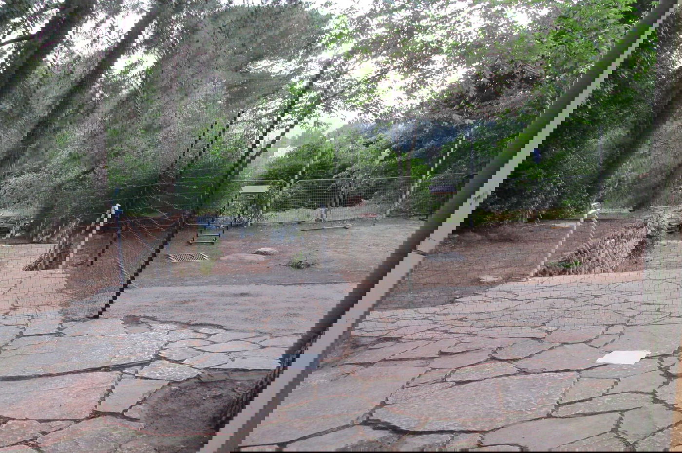 'לנדא' מצטרפים ל'מתווה הקפסולות' • צפו בהיערכות