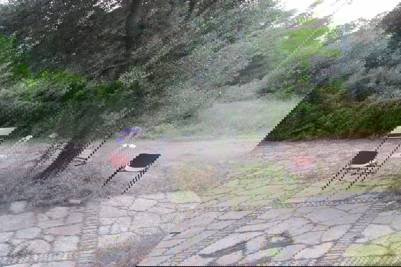 'לנדא' מצטרפים ל'מתווה הקפסולות' • צפו בהיערכות