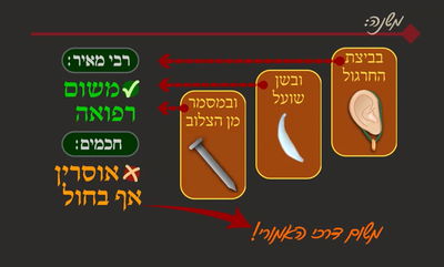 הדף היומי: מסכת שבת, דף ס"ז • סיכום והמחשה