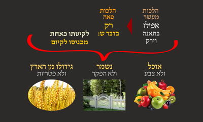 הדף היומי: מסכת שבת, דף ס"ח • סיכום והמחשה