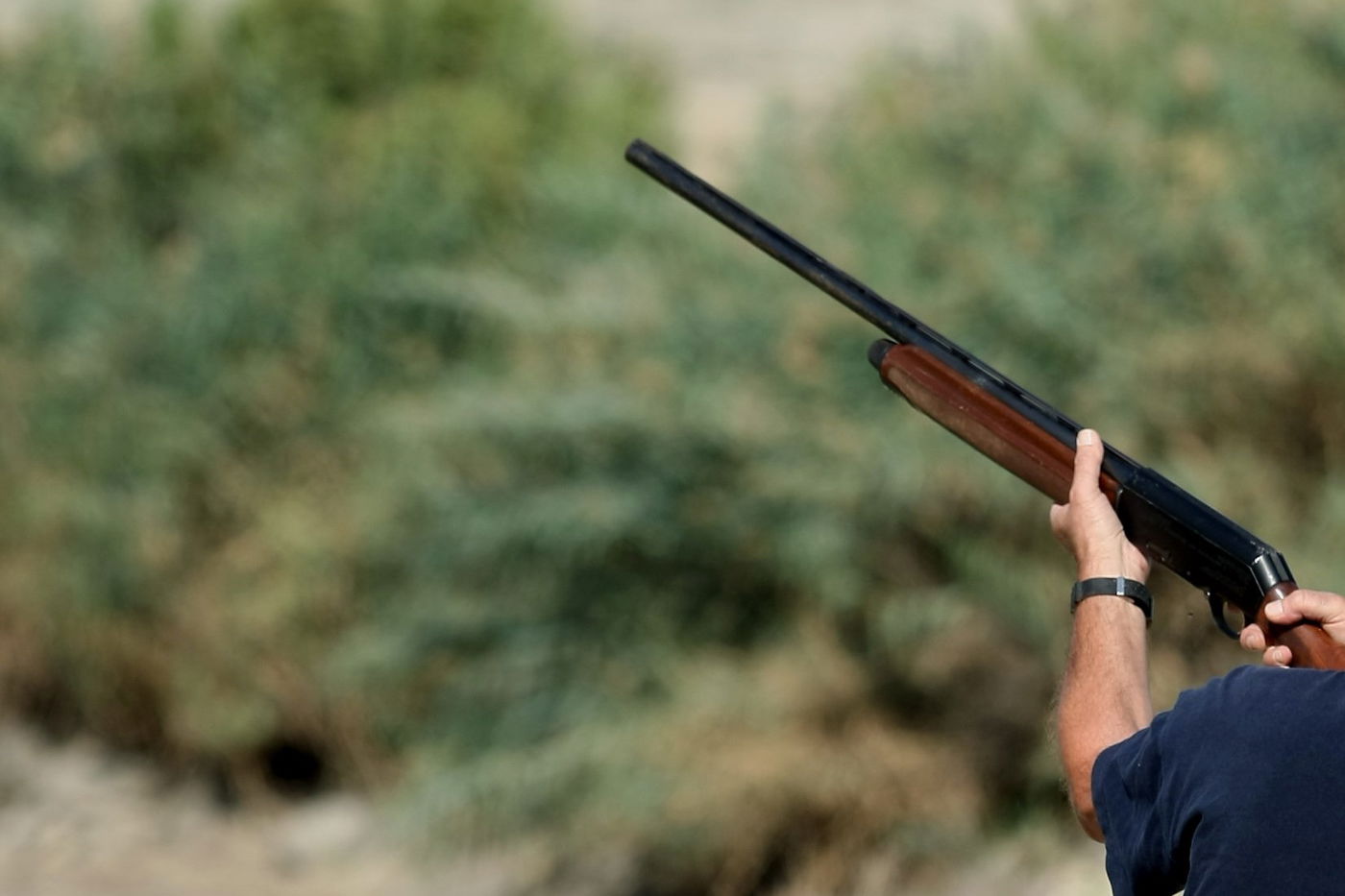 נושא אחד, שני גיסים • והשבוע: הלכות צידה בשבת