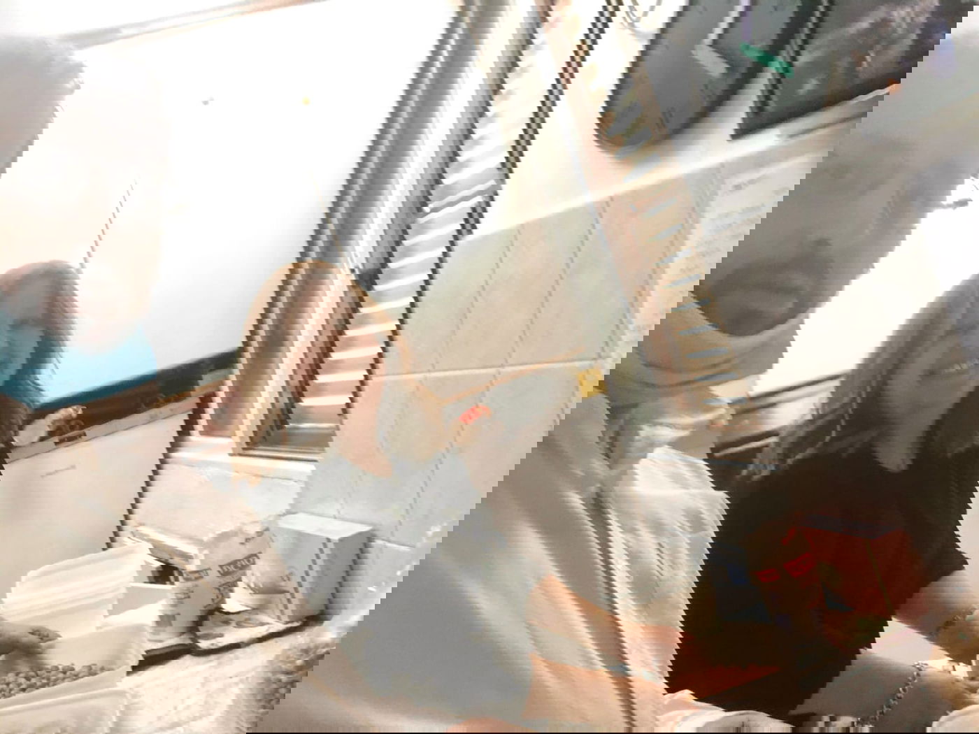 זופניק בכיכר • כל התמונות והנייעס של השבוע