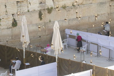 הציפור המסתורית שזוכה לקבלת פנים ייחודית