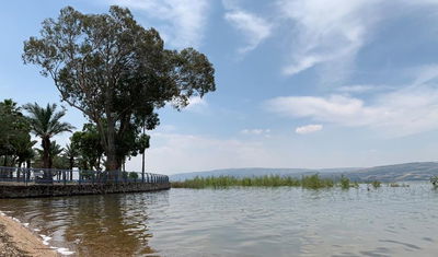 הכנרת המלאה