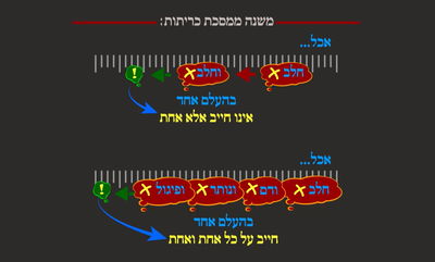 הדף היומי: מסכת שבת, דף ע"א • סיכום והמחשה