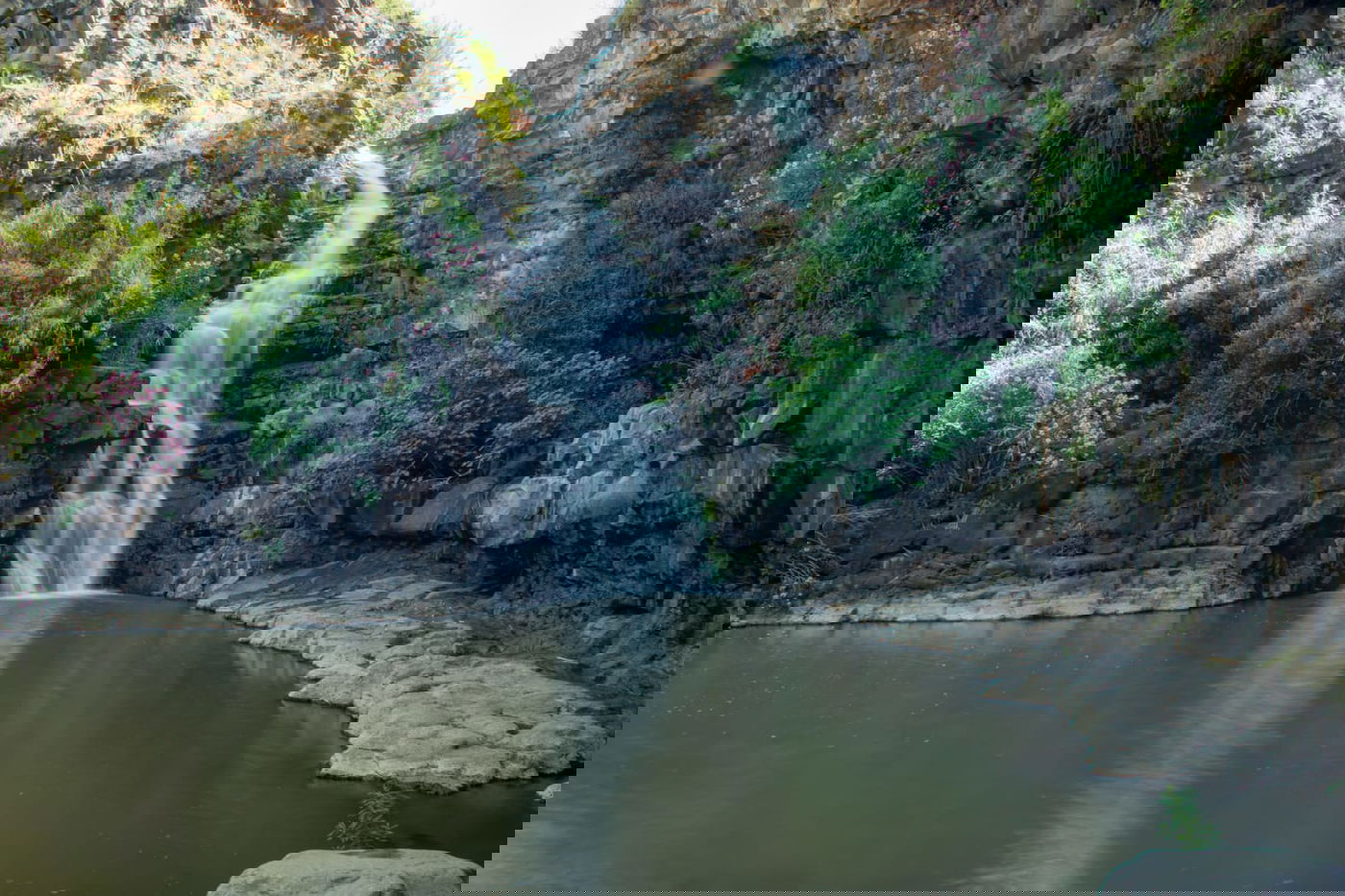 לפי ההנחיות: סיור מצולם בנחל יהודיה