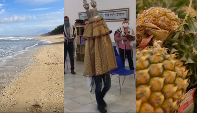 קמיסר מתפלל באיטליה, ומייבא אננס לארץ