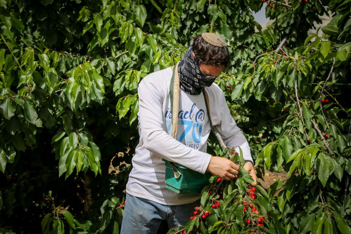 התחזית: שרב ועומס חום - כבד עד קיצוני