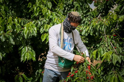 התחזית: שרב ועומס חום - כבד עד קיצוני