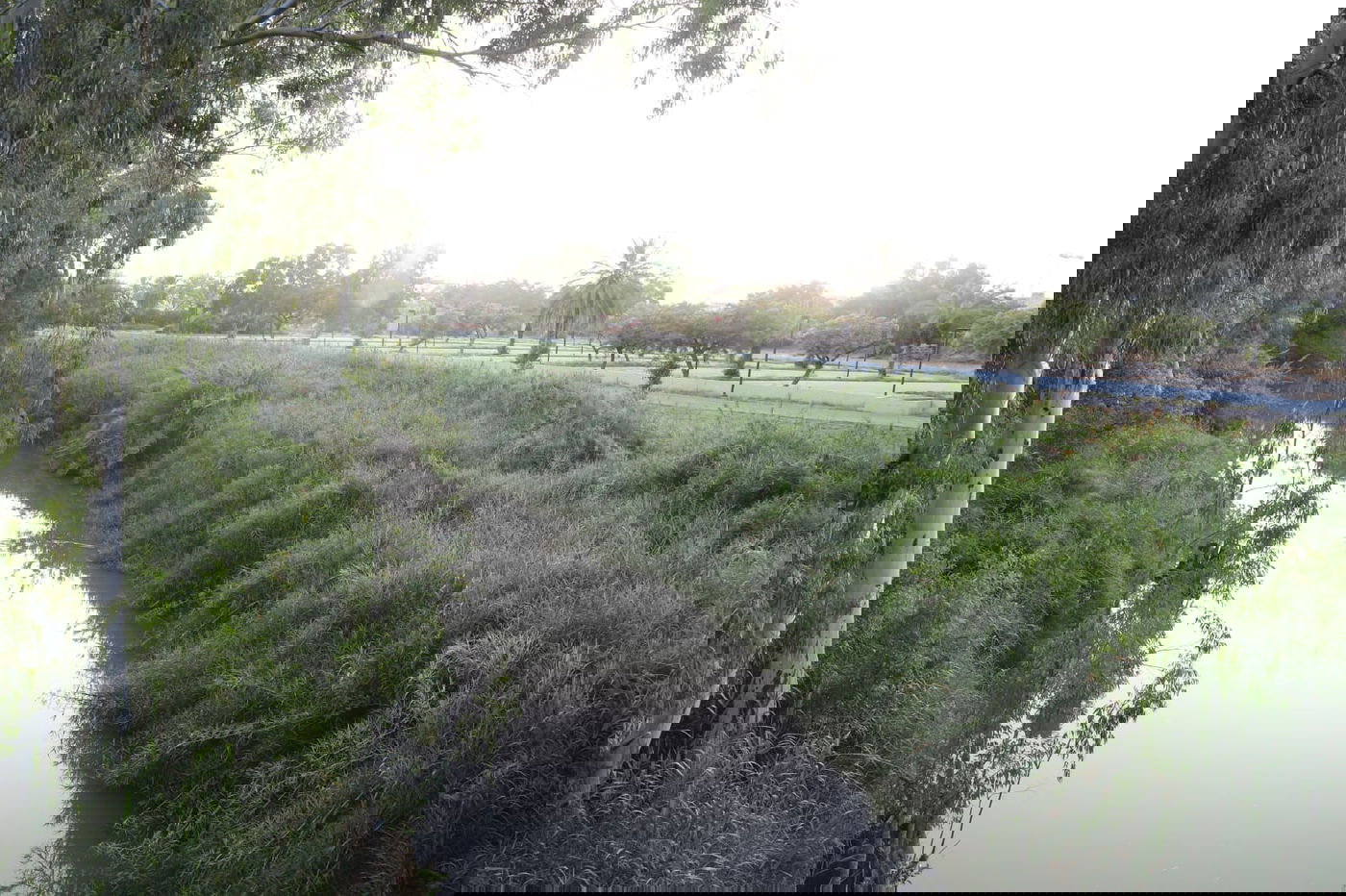 צפו: החמסין הכבד לא מנע מהבחורים לטייל ב'גני יהושע'