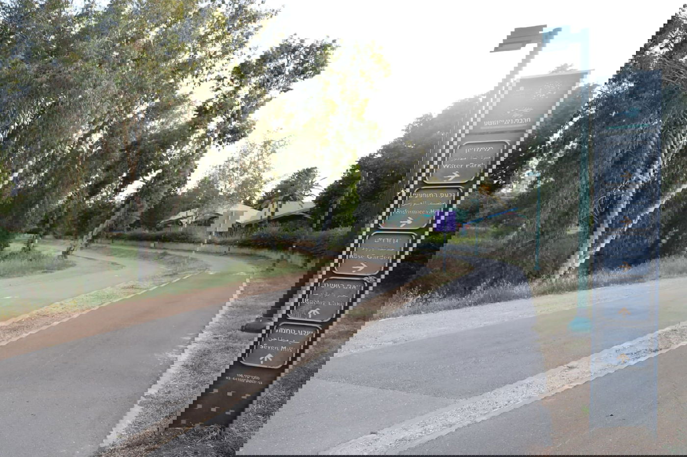 צפו: החמסין הכבד לא מנע מהבחורים לטייל ב'גני יהושע'