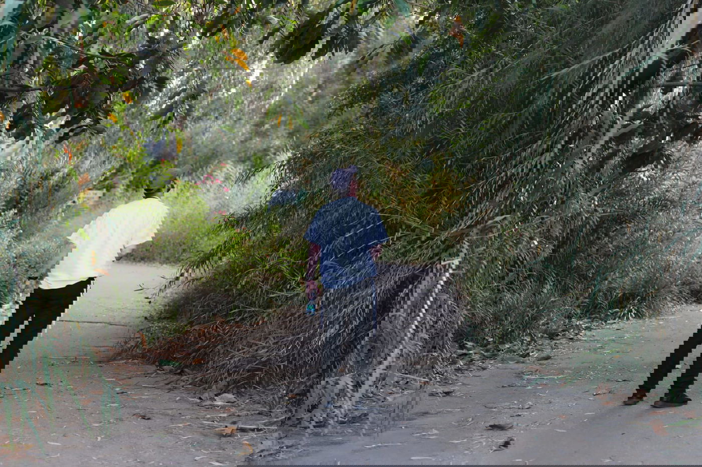 צפו: החמסין הכבד לא מנע מהבחורים לטייל ב'גני יהושע'