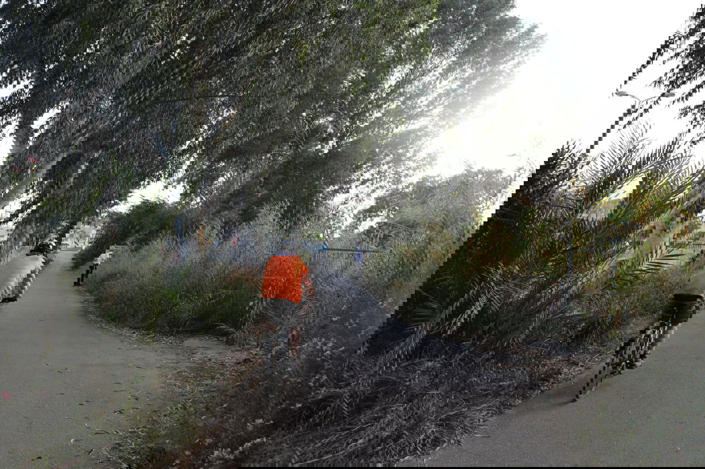 צפו: החמסין הכבד לא מנע מהבחורים לטייל ב'גני יהושע'