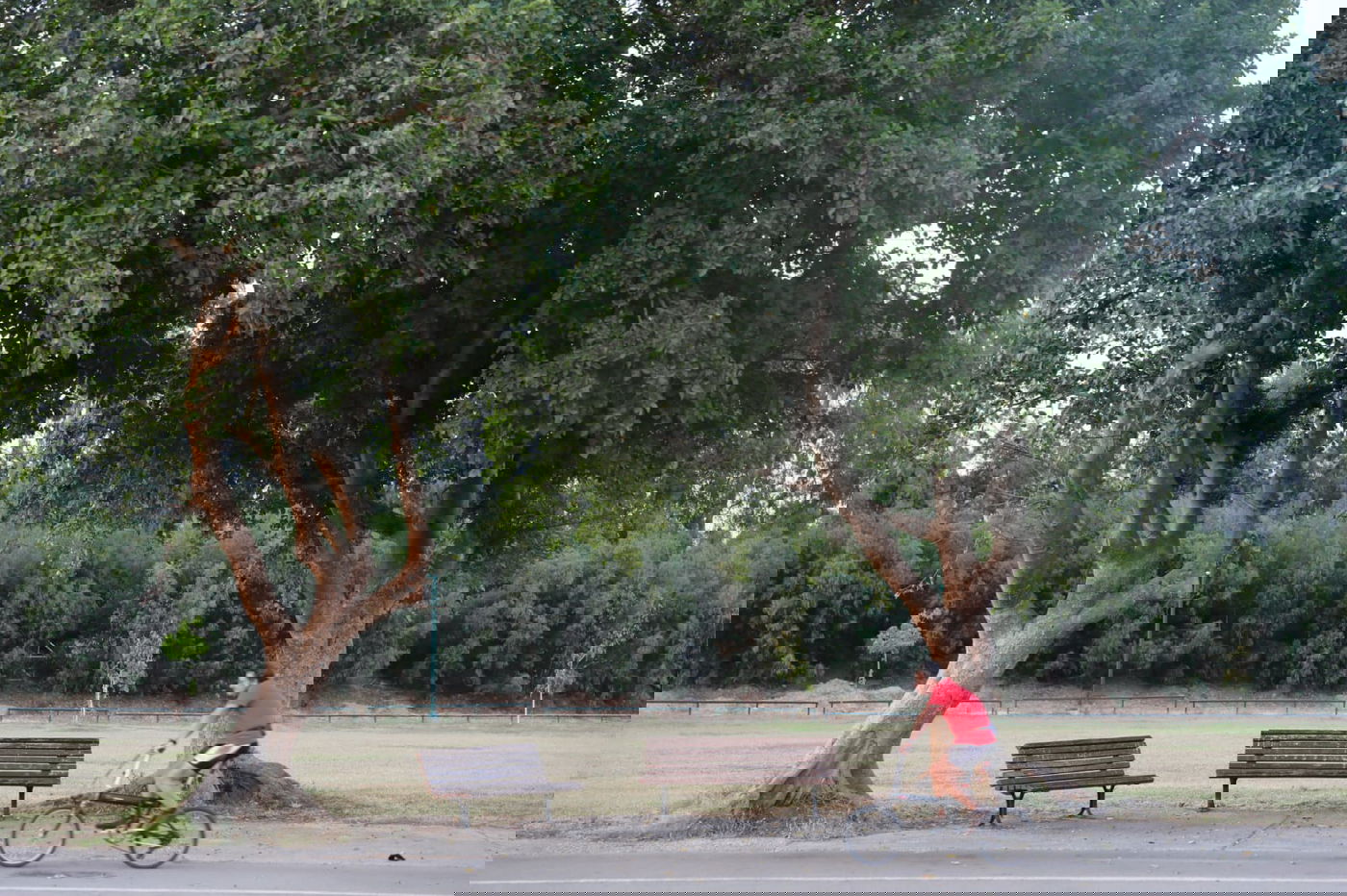 צפו: החמסין הכבד לא מנע מהבחורים לטייל ב'גני יהושע'