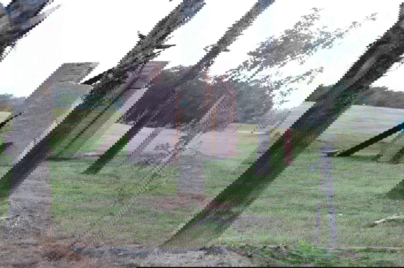 צפו: החמסין הכבד לא מנע מהבחורים לטייל ב'גני יהושע'