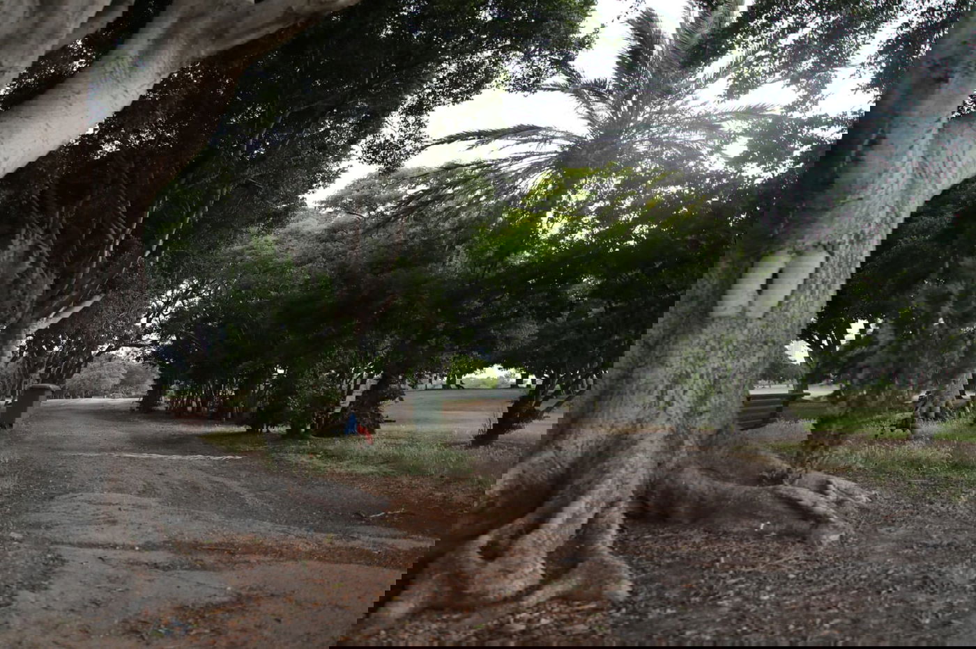 צפו: החמסין הכבד לא מנע מהבחורים לטייל ב'גני יהושע'