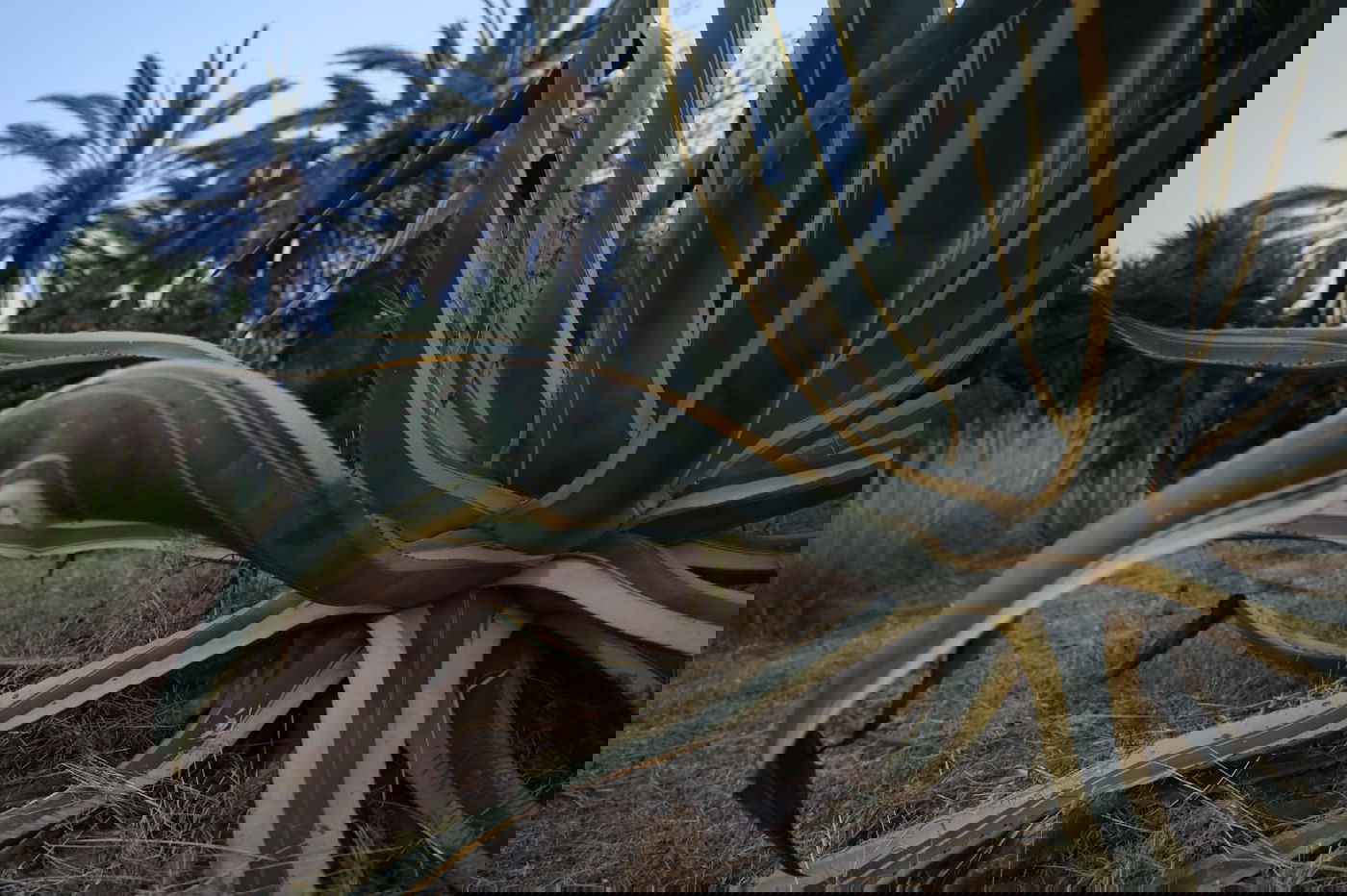 צפו: החמסין הכבד לא מנע מהבחורים לטייל ב'גני יהושע'