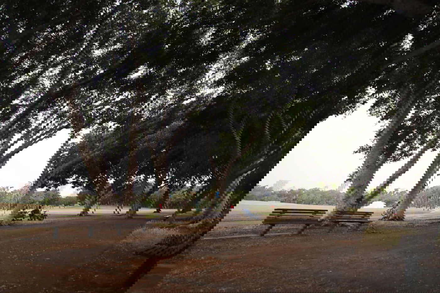 צפו: החמסין הכבד לא מנע מהבחורים לטייל ב'גני יהושע'