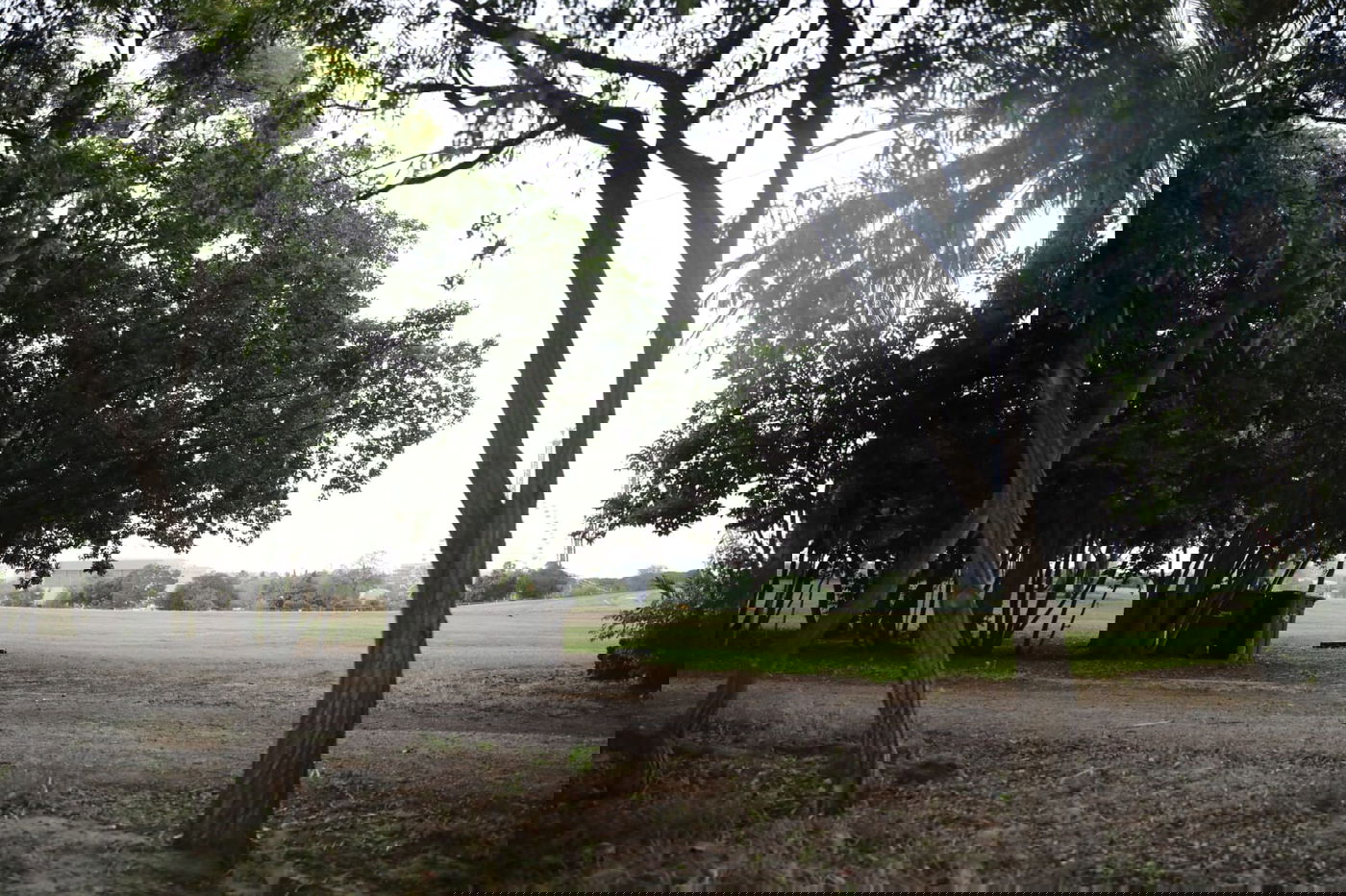 צפו: החמסין הכבד לא מנע מהבחורים לטייל ב'גני יהושע'