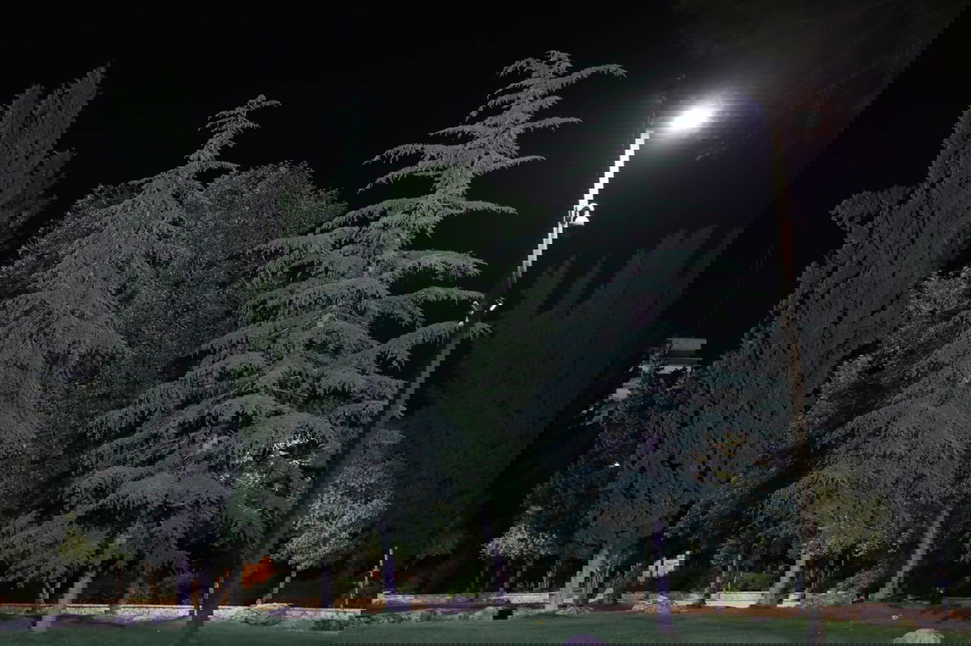 איך נראה גן העצמאות בלילה בזמן שרב? • צפו