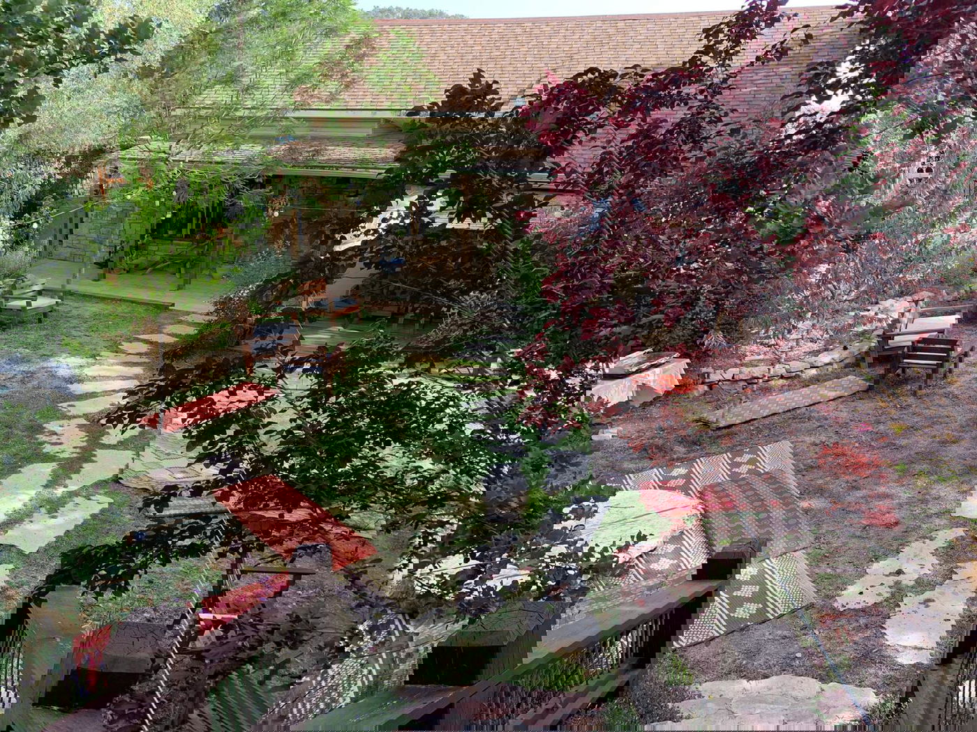 כשה'מזרחן' אירח בביתו טקס  חתונה  • צפו