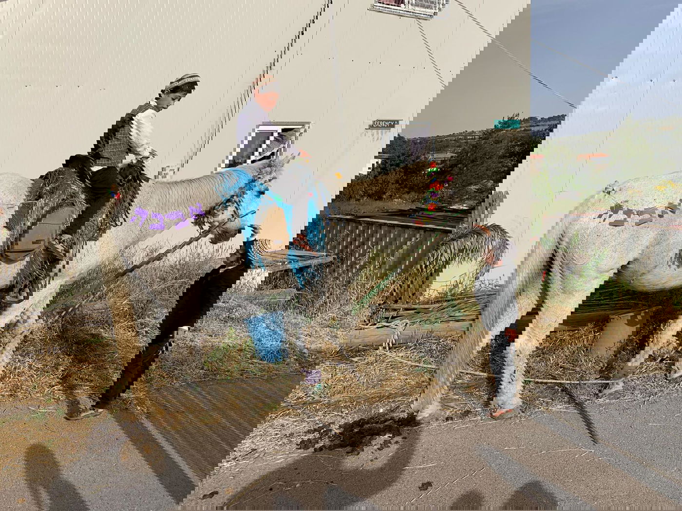 כשה'מזרחן' אירח בביתו טקס  חתונה  • צפו