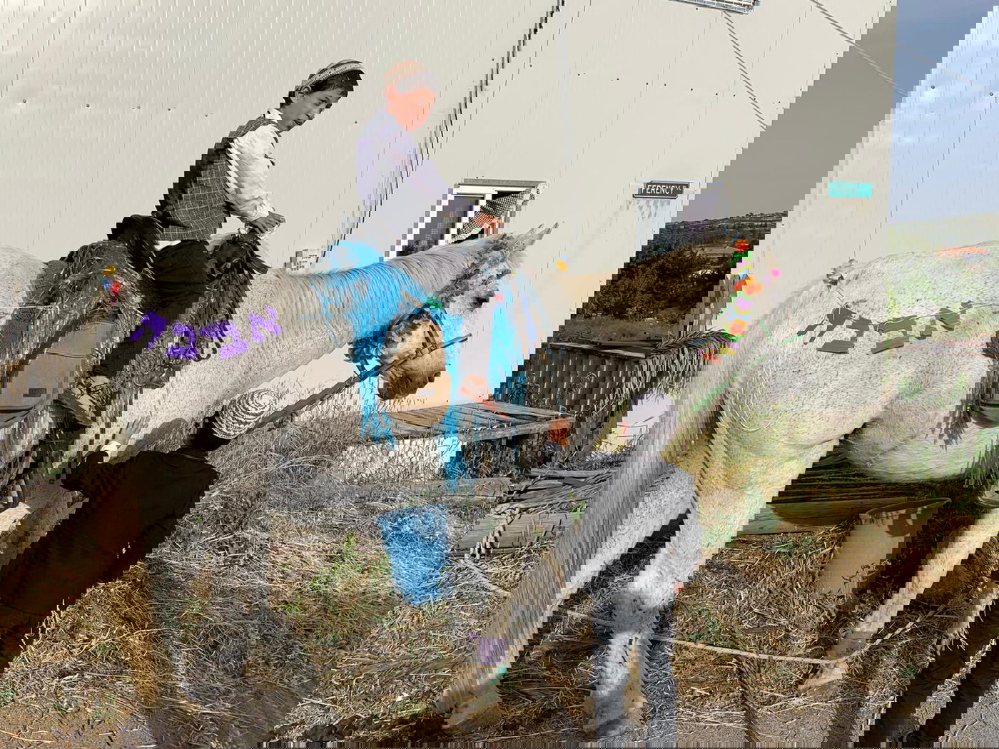 כשה'מזרחן' אירח בביתו טקס  חתונה  • צפו