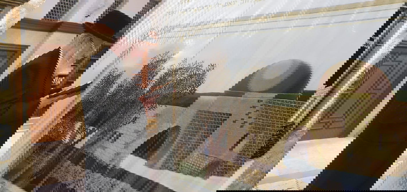 זופניק בכיכר • כל התמונות והנייעס של השבוע