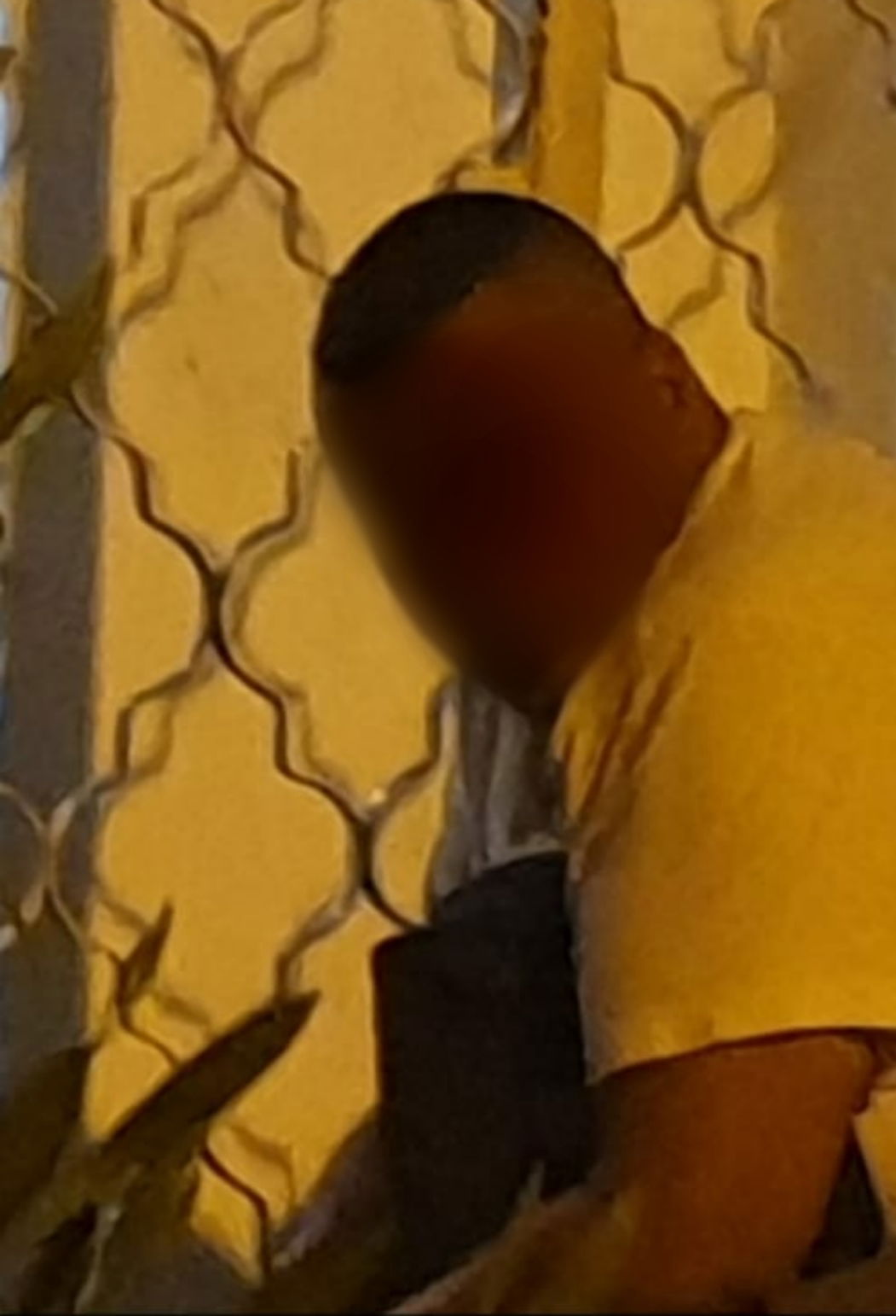 פגע בילדות חרדיות, ברח לתל שבע - ונתפס