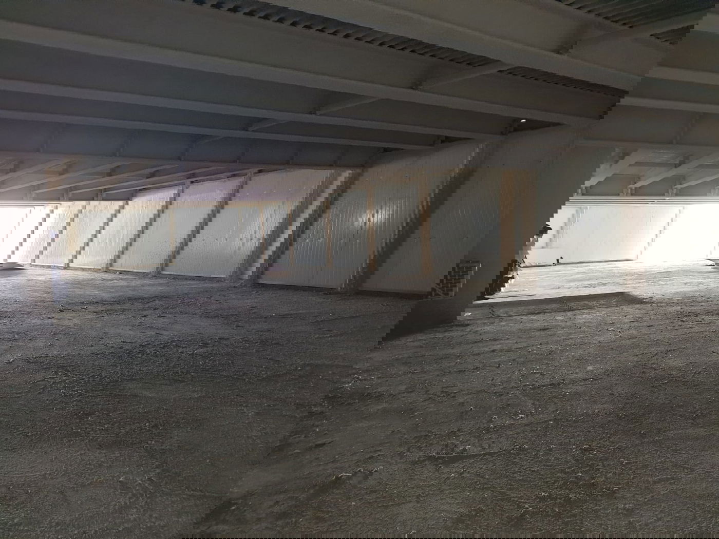 ישיבת 'אור ישראל' לצעירים חוזרת לשגרת השטייגען • תיעוד