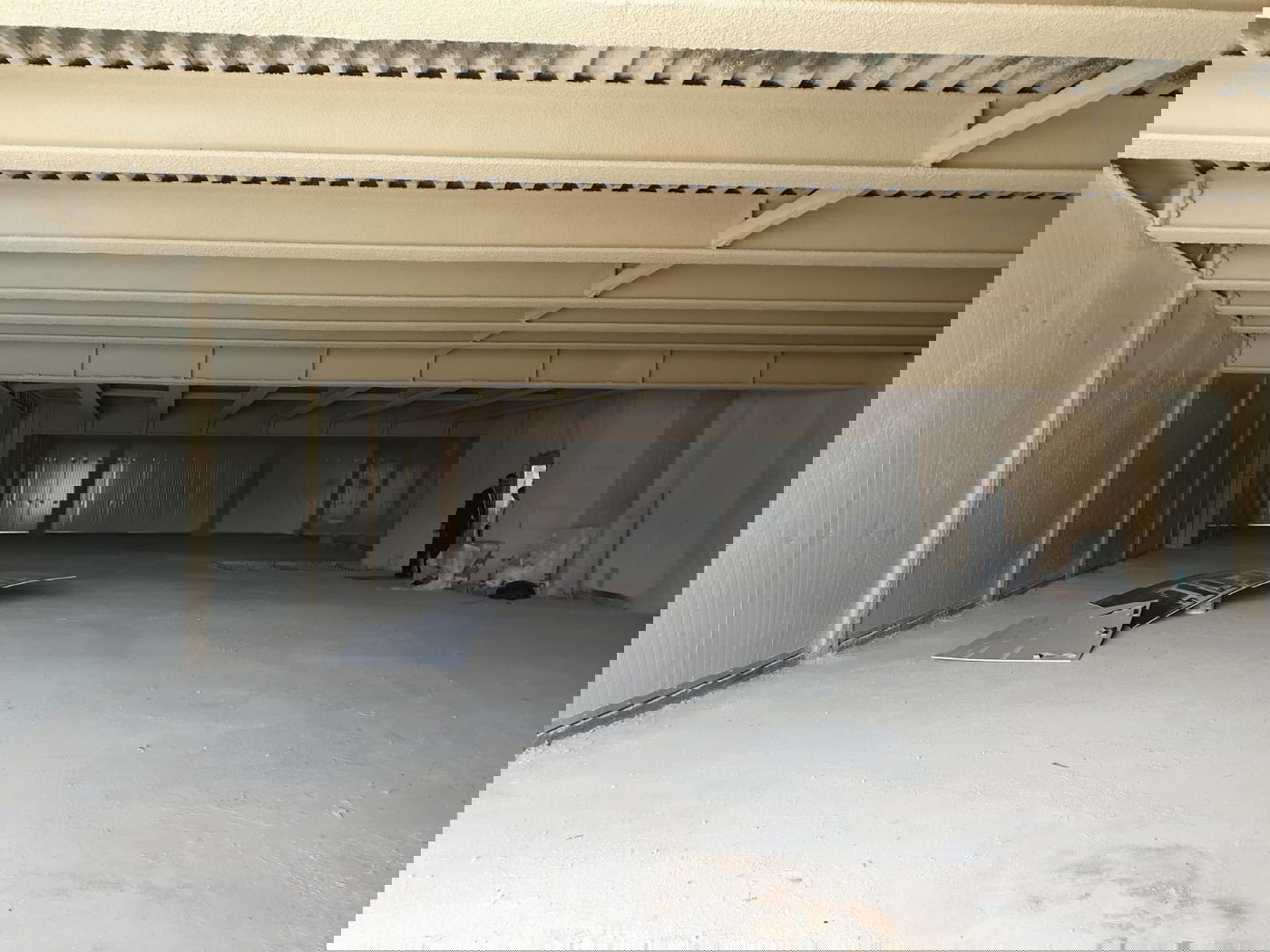 ישיבת 'אור ישראל' לצעירים חוזרת לשגרת השטייגען • תיעוד