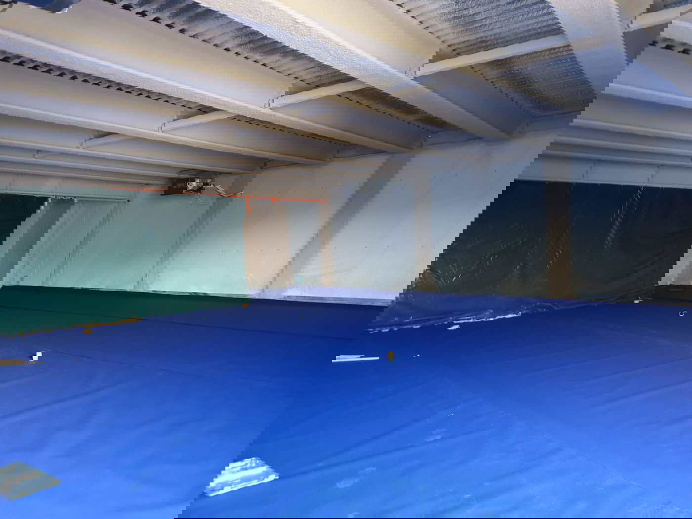 ישיבת 'אור ישראל' לצעירים חוזרת לשגרת השטייגען • תיעוד