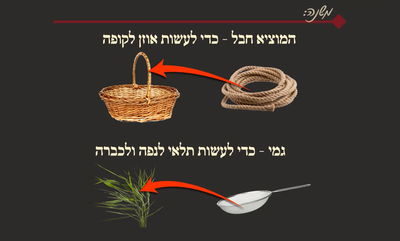 הדף היומי: מסכת שבת, דף ע"ח • סיכום והמחשה